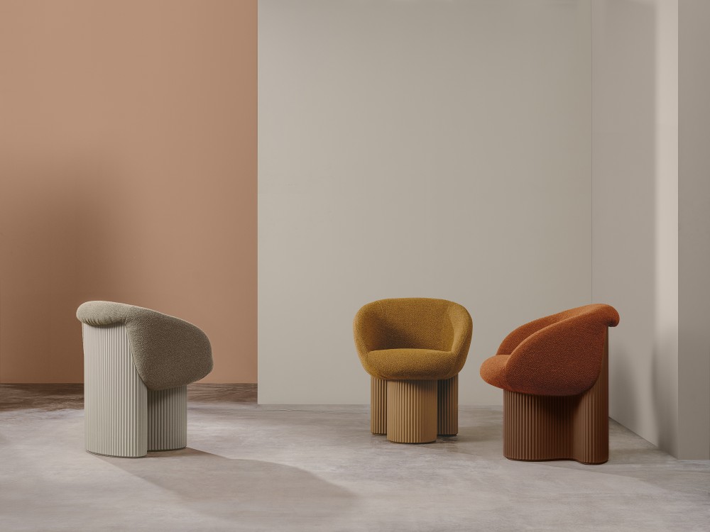 Bolete - Imagen 4